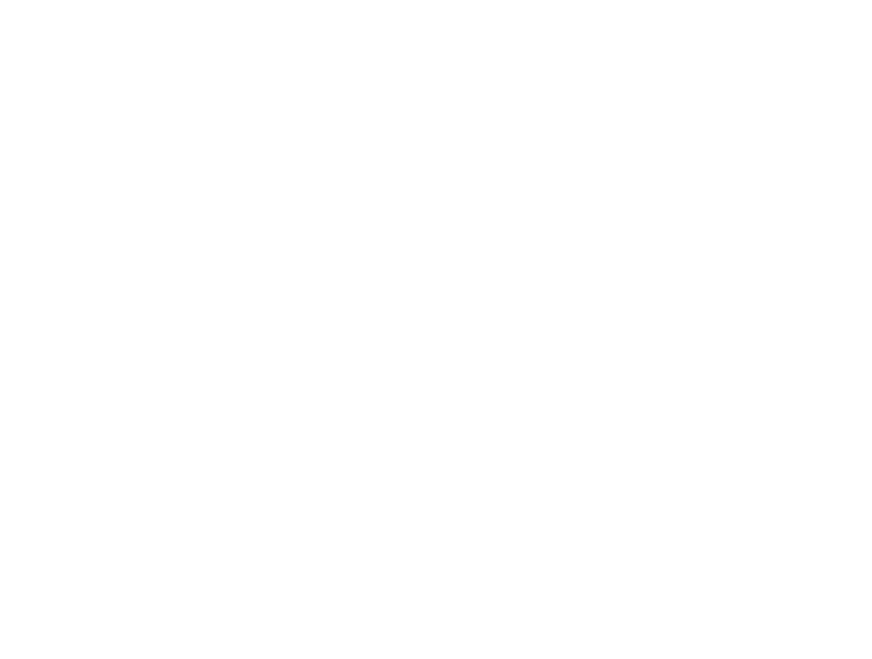 Hachidori Sake Scrolled light version of the logo (Link to homepage)